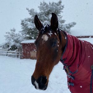 Meet your Posher, Noelle